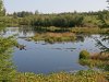 IMG_6558-5