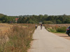IMG_6613-5