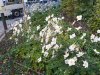 IMG_20221011_131316