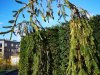 IMG_20221011_143302