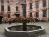 IMG_20221012_115332