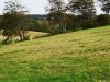 IMG_20221012_163643