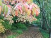 IMG_20221013_105748